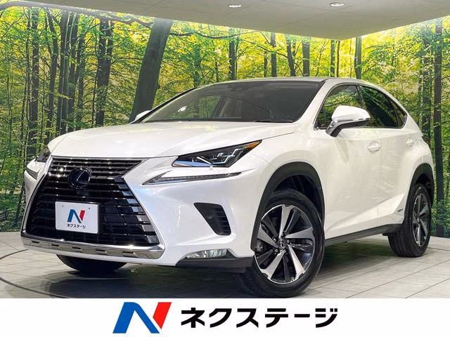 LEXUS NX300H