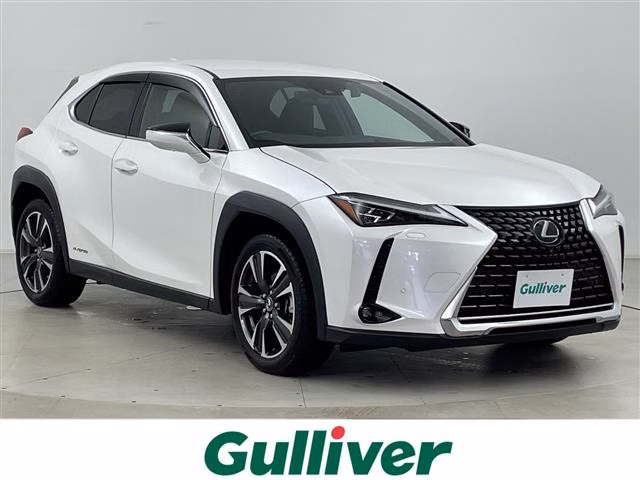 Lexus UX250h