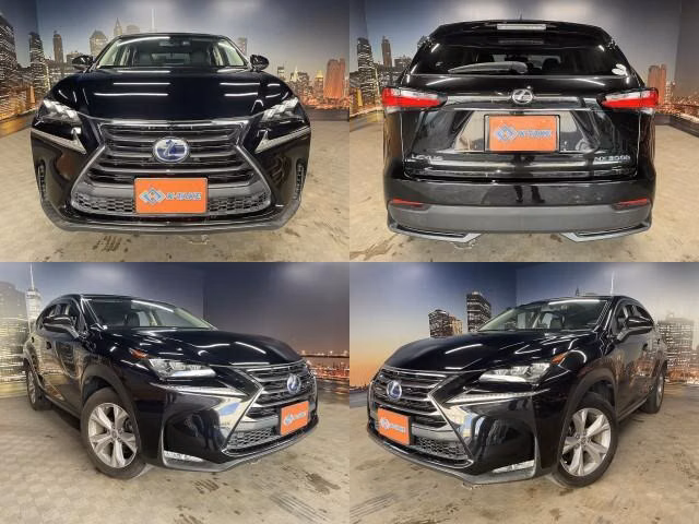 Lexus NX300h