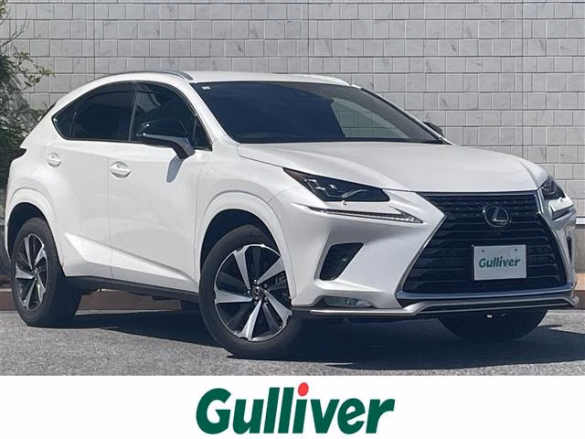 LEXUS NX300