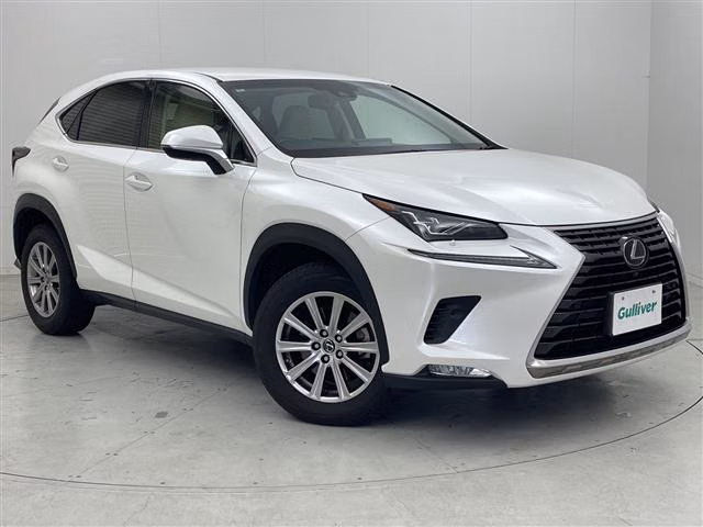 LEXUS NX300