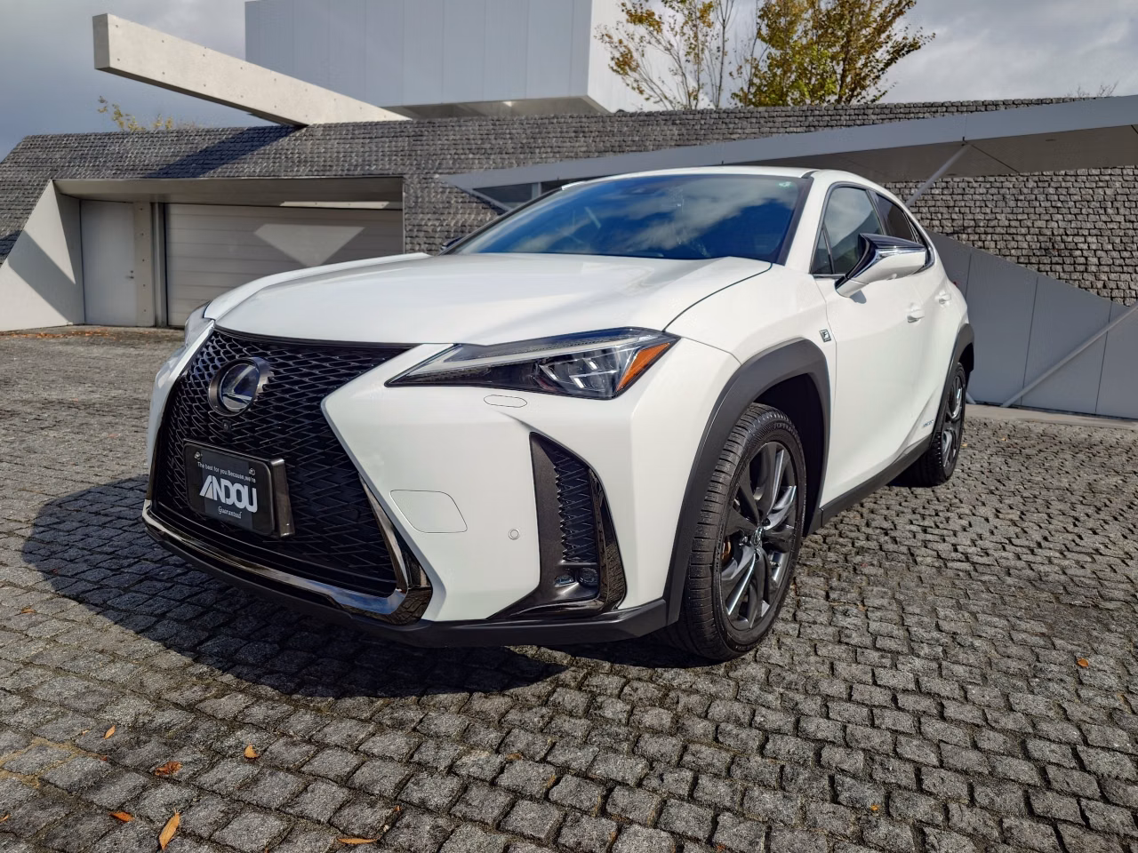 Lexus UX250h