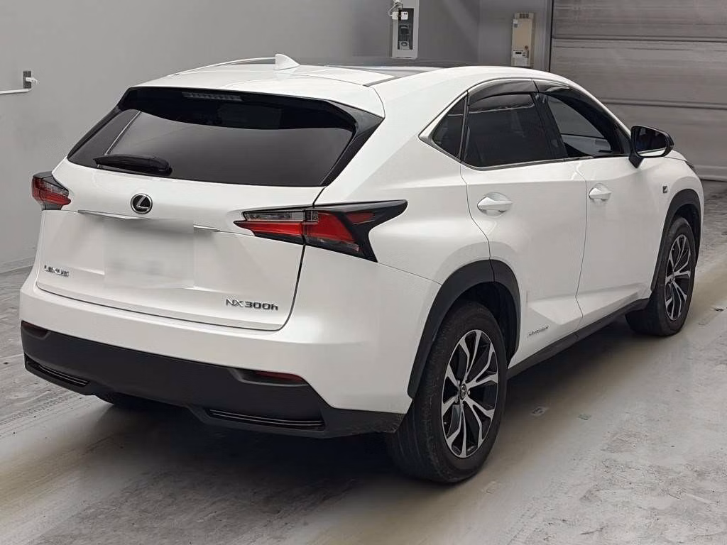 LEXUS NX300