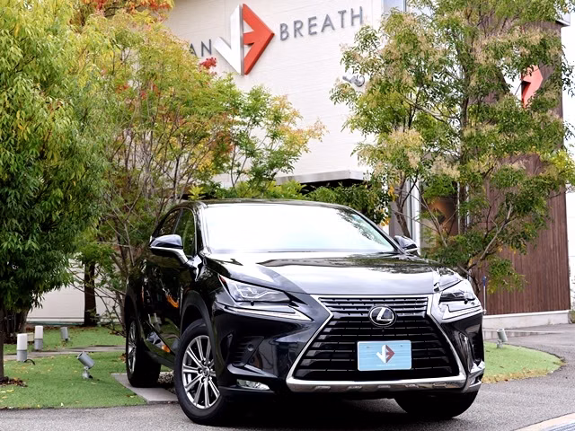 LEXUS NX300