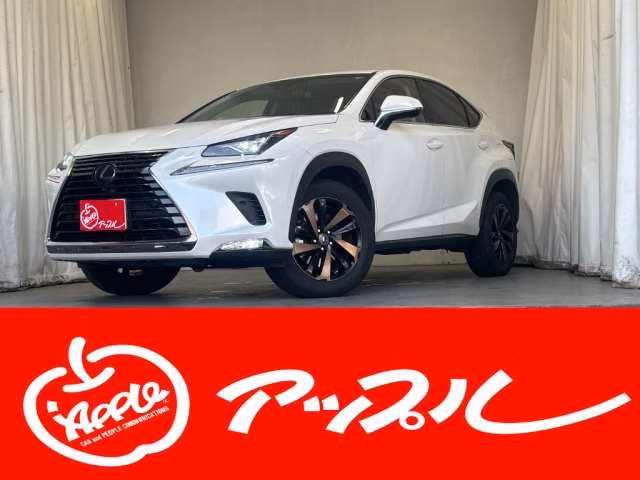 LEXUS NX300