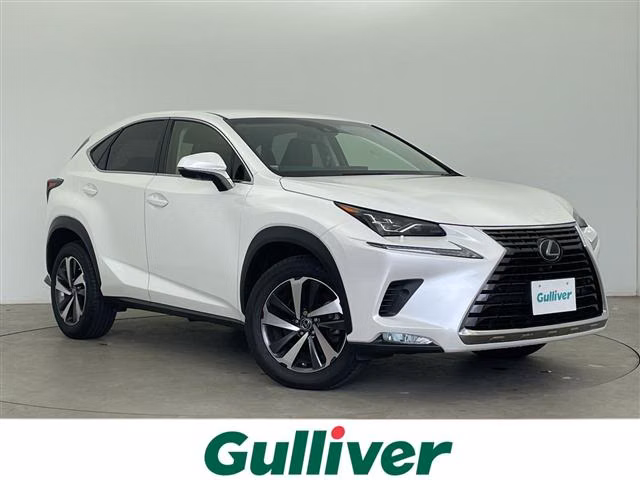 LEXUS NX300