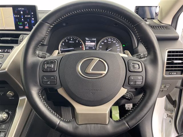 LEXUS NX300