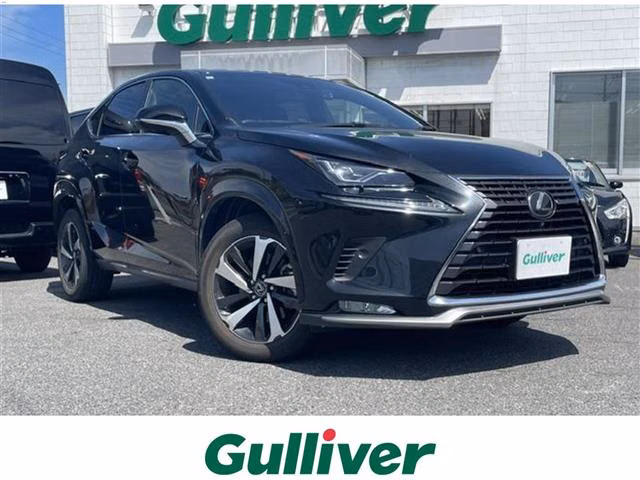 LEXUS NX300