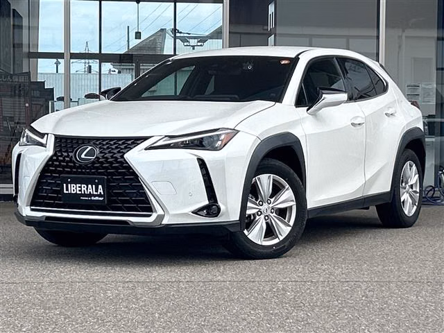 LEXUS UX250H