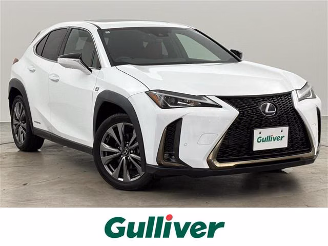 LEXUS UX250H