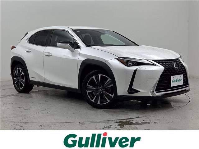 Lexus UX250h