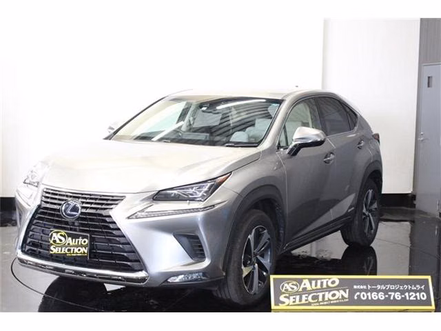 LEXUS NX300