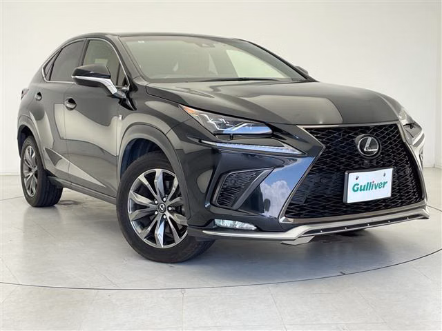 LEXUS NX300