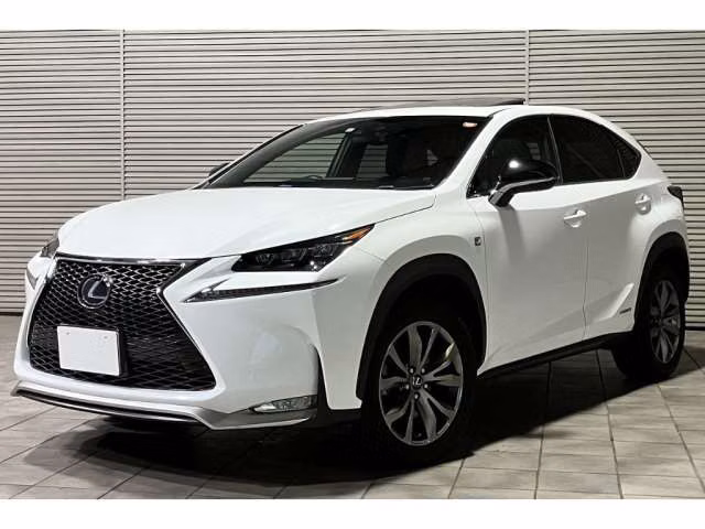 LEXUS NX300