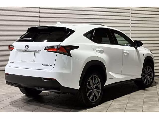 LEXUS NX300