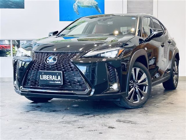 Lexus UX250h