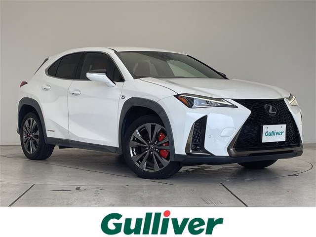 LEXUS UX250H