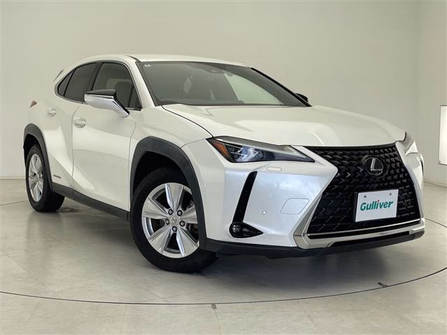 LEXUS UX250H