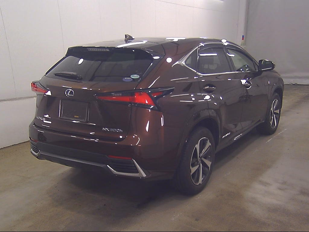 LEXUS NX300