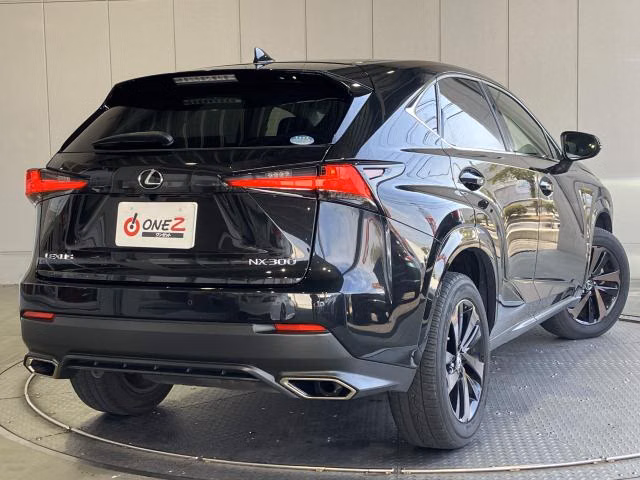 LEXUS NX300