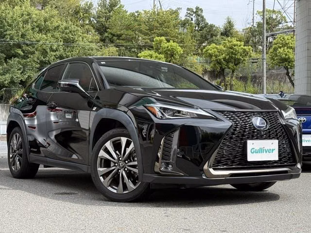LEXUS UX250H