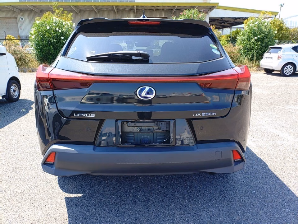 LEXUS UX250H