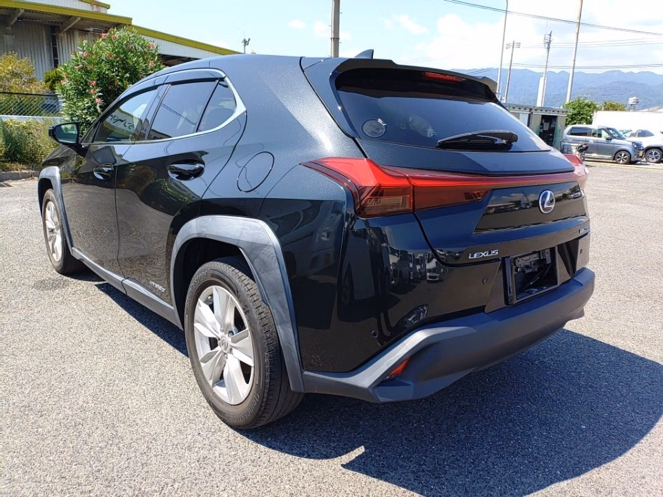 LEXUS UX250H
