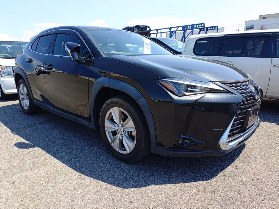 LEXUS UX250H