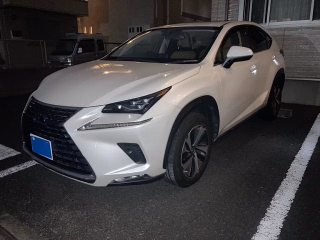 LEXUS NX300H