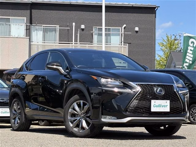 LEXUS NX300