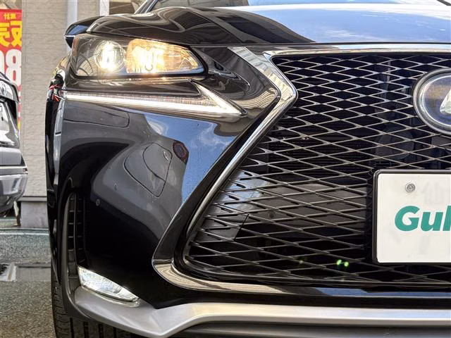 LEXUS NX300