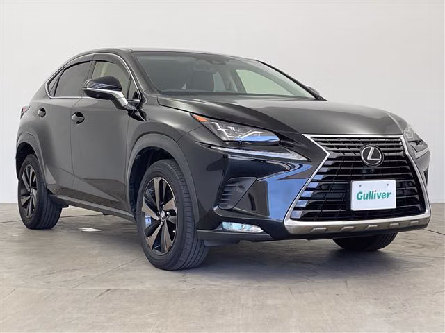 LEXUS NX300
