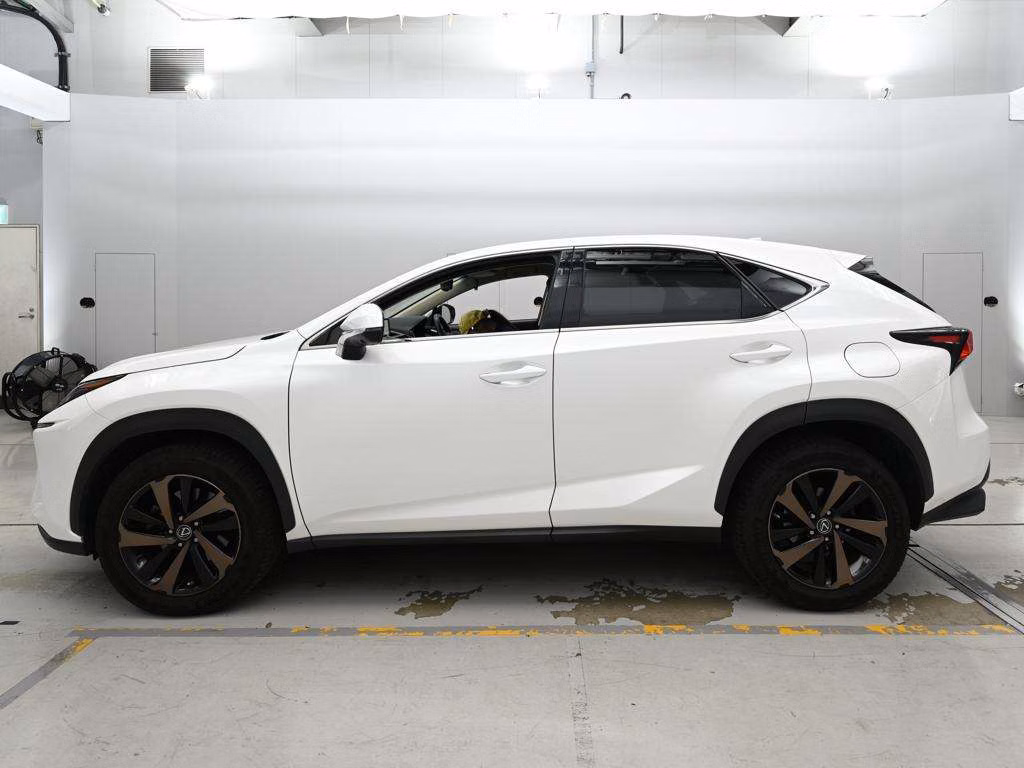 LEXUS NX300