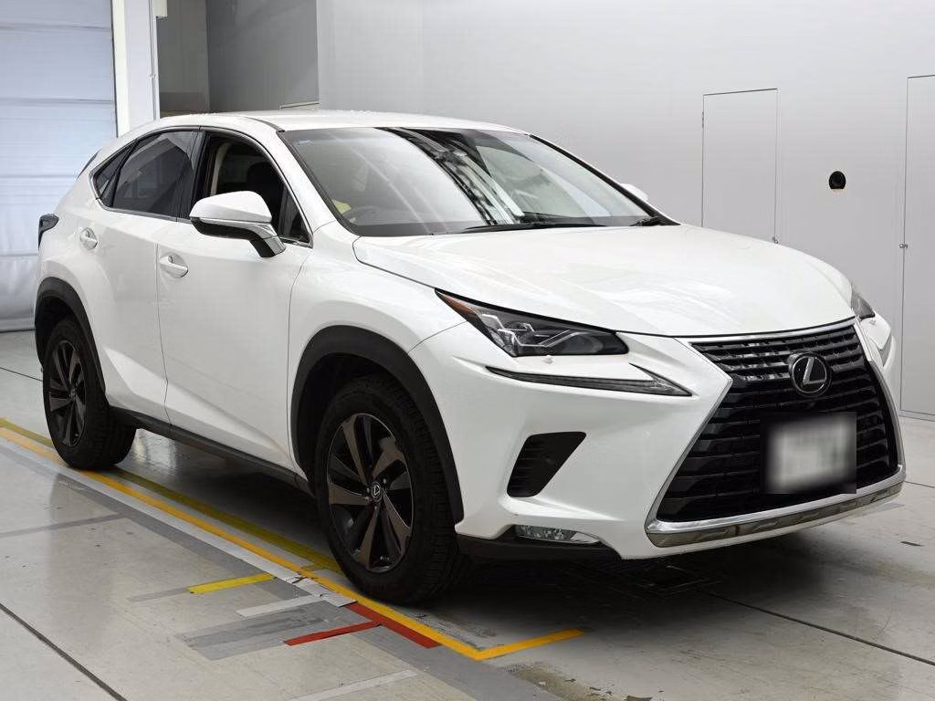LEXUS NX300