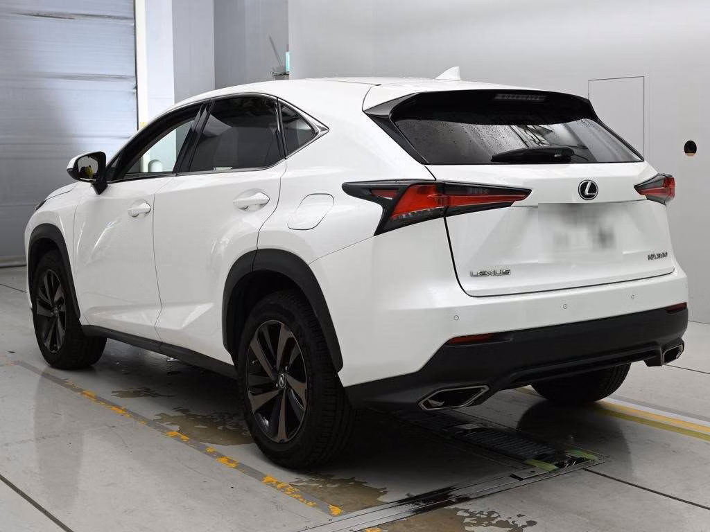 LEXUS NX300