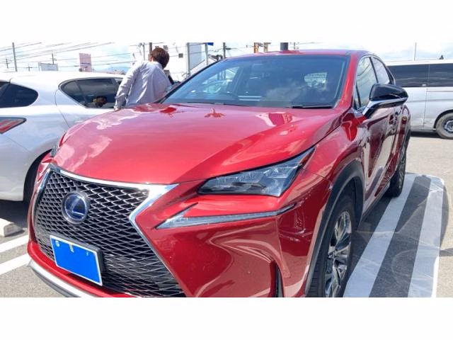 LEXUS NX300