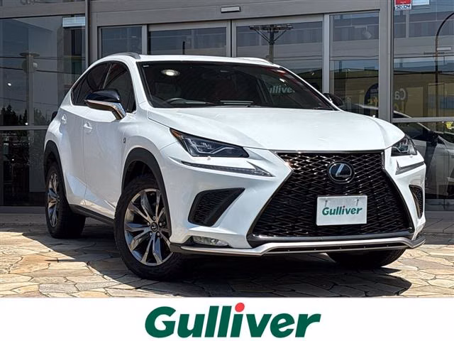 LEXUS NX300