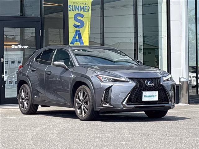 Lexus UX250h