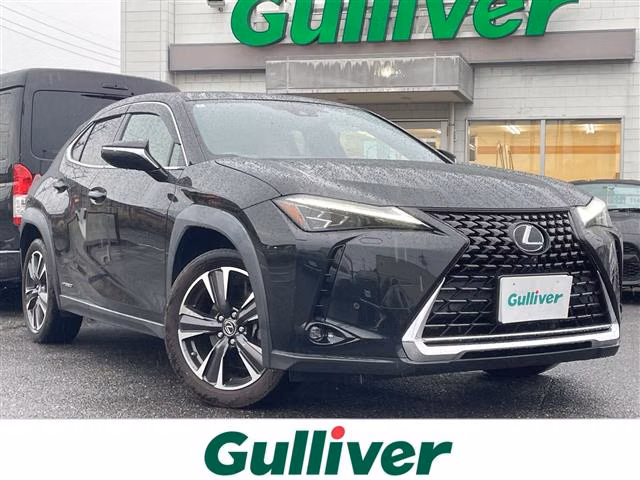 Lexus UX250h
