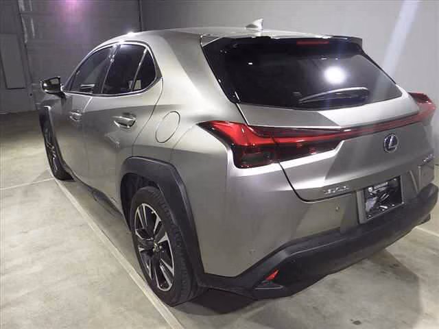 LEXUS UX250H