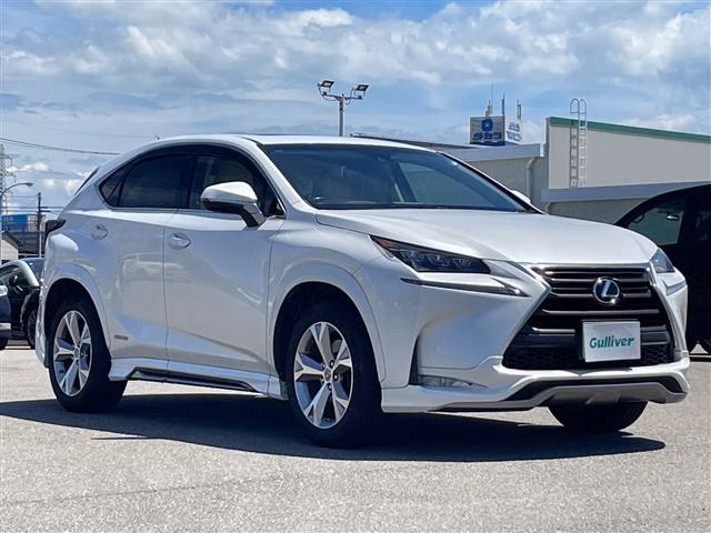 LEXUS NX300