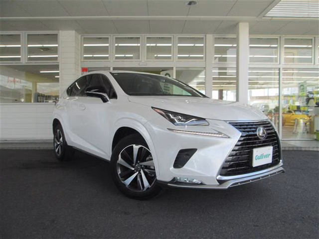LEXUS NX300