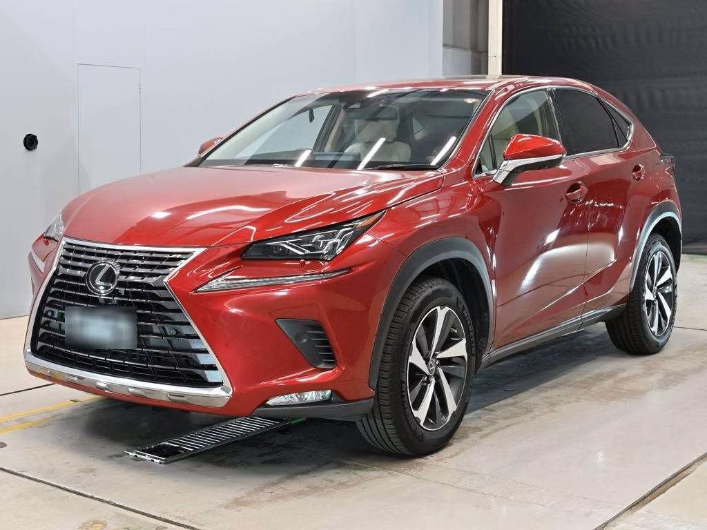 LEXUS NX300