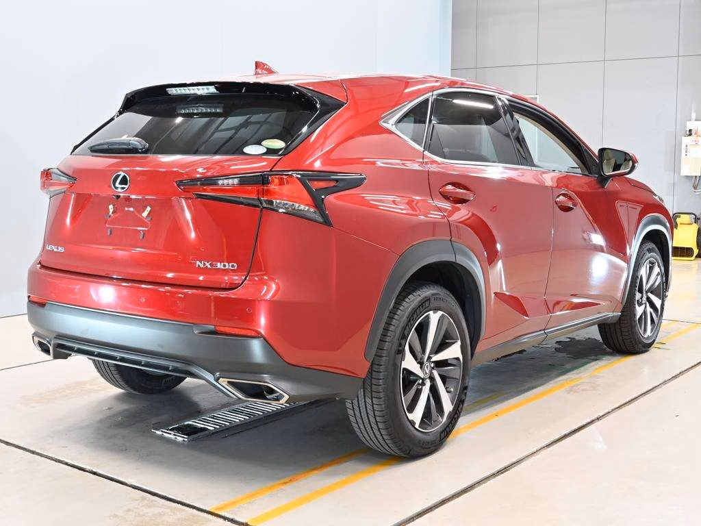 LEXUS NX300