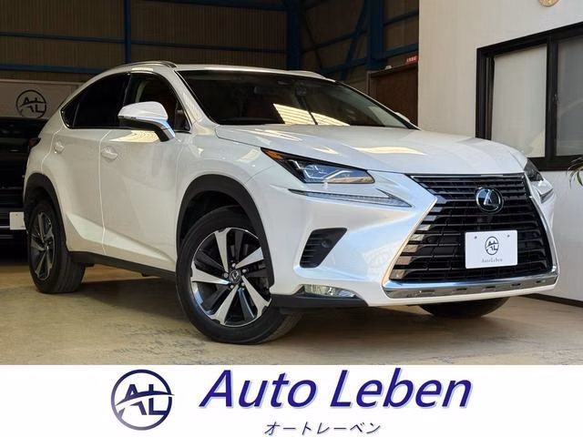 LEXUS NX300