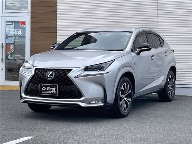 LEXUS NX300