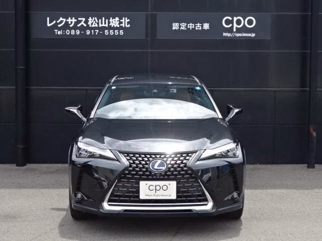 LEXUS UX250H