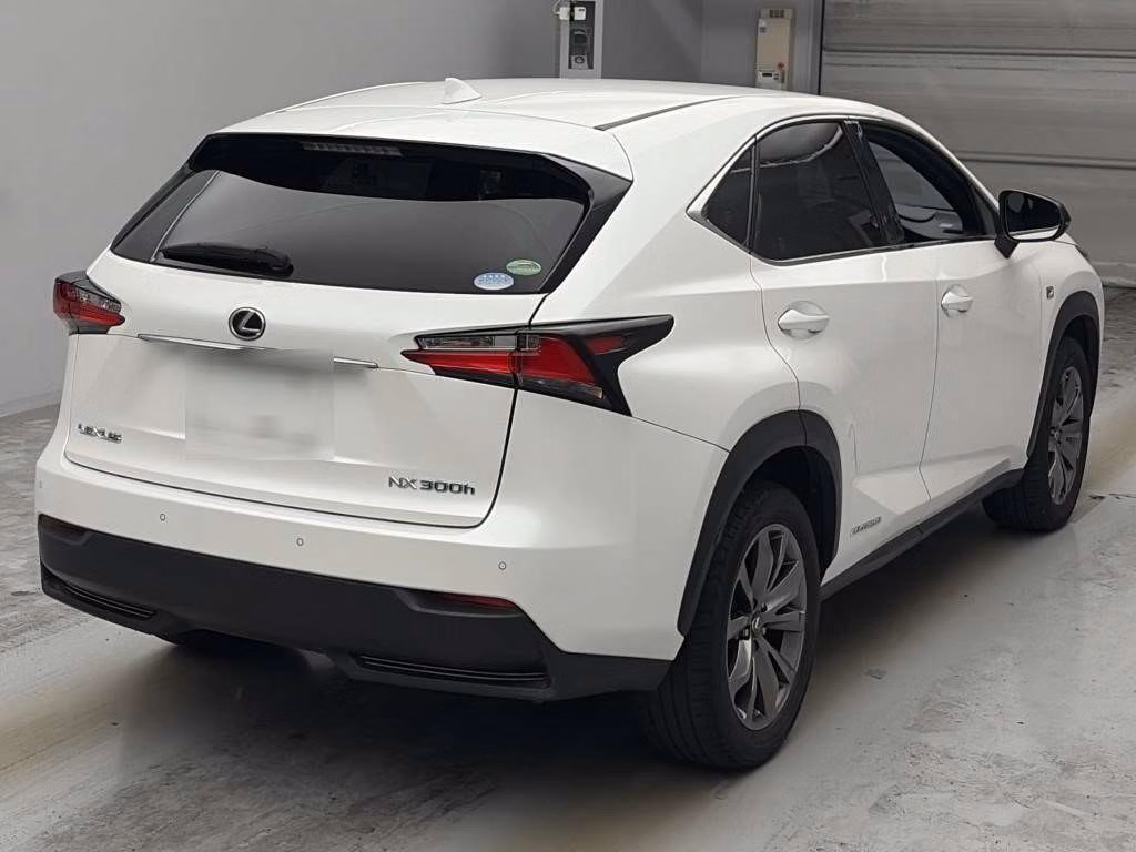 LEXUS NX300