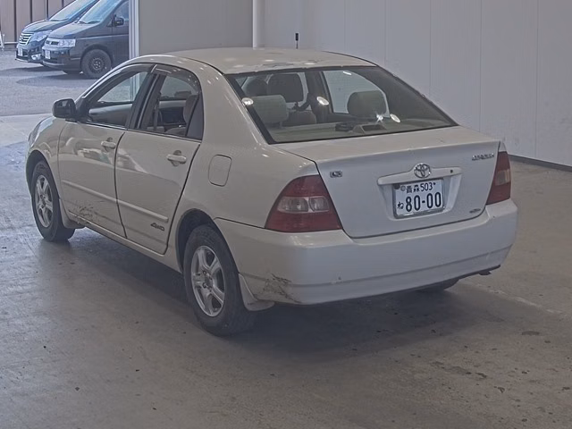 TOYOTA COROLLA