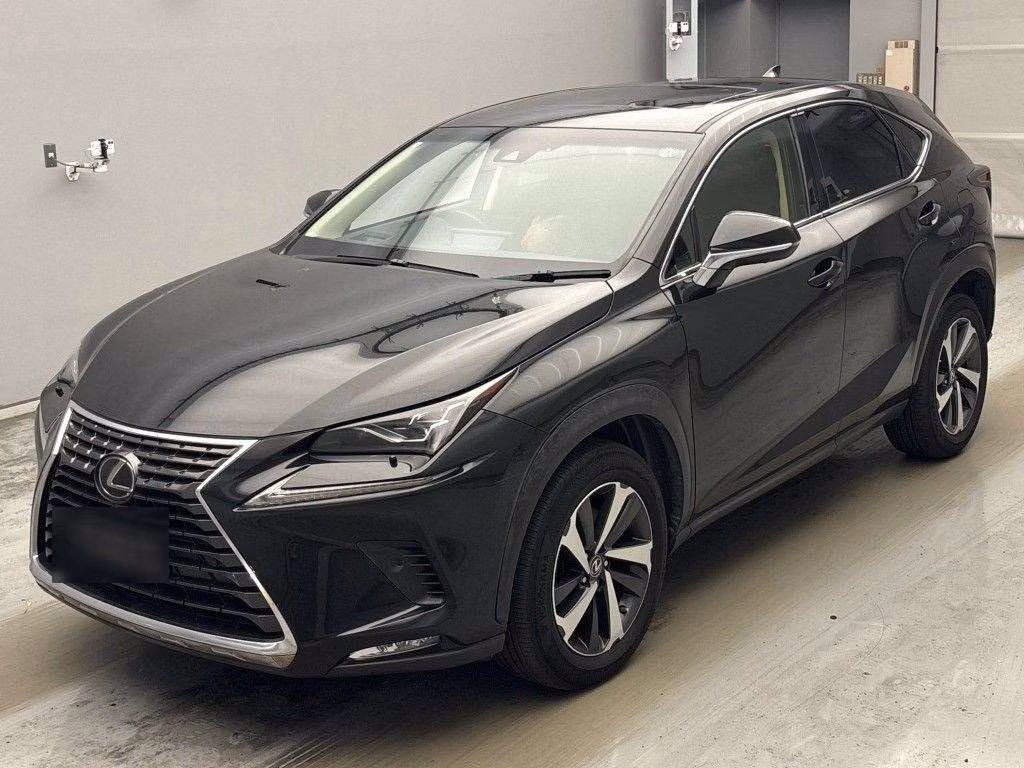 LEXUS NX300